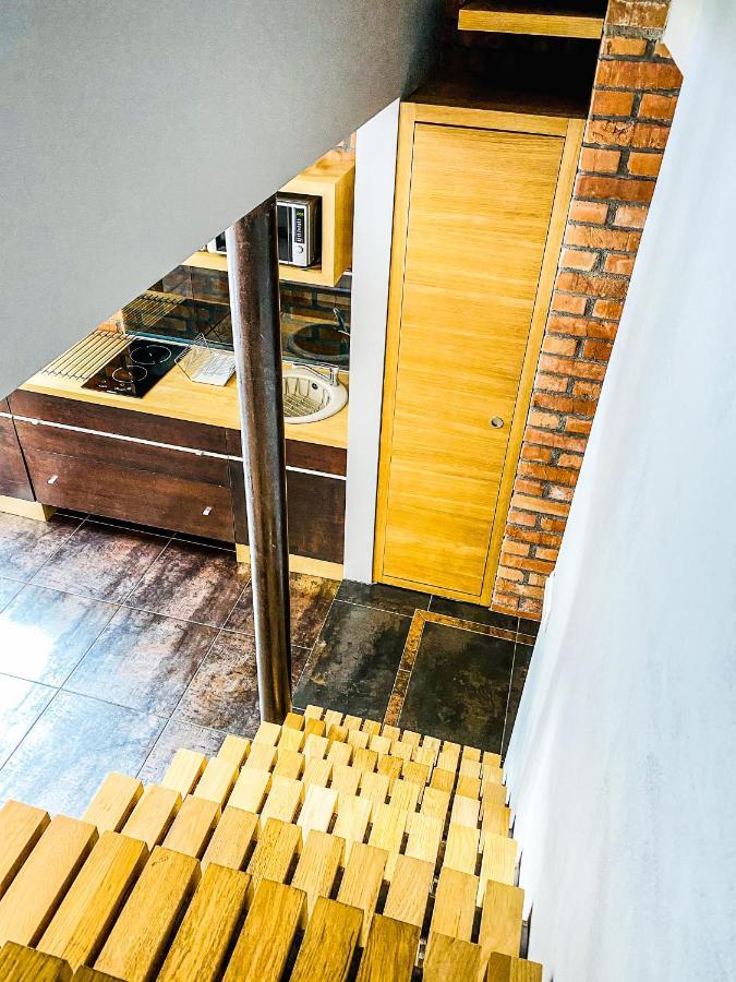 Apartment Zwierzyniecka Lofts With Patio And Air Conditioning, Cracow City Heart Old Town *