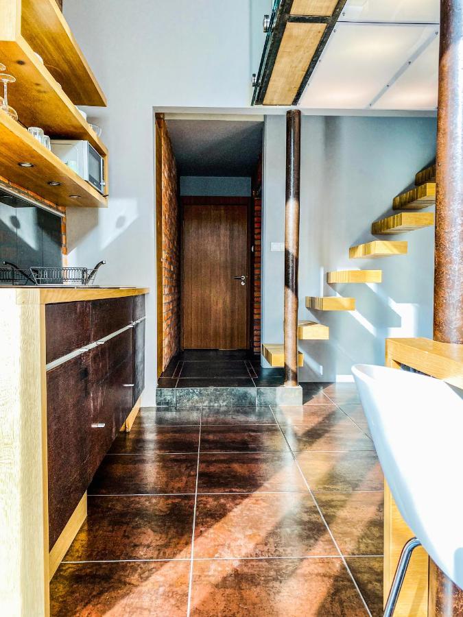 Apartment Zwierzyniecka Lofts With Patio And Air Conditioning, Cracow City Heart Old Town *